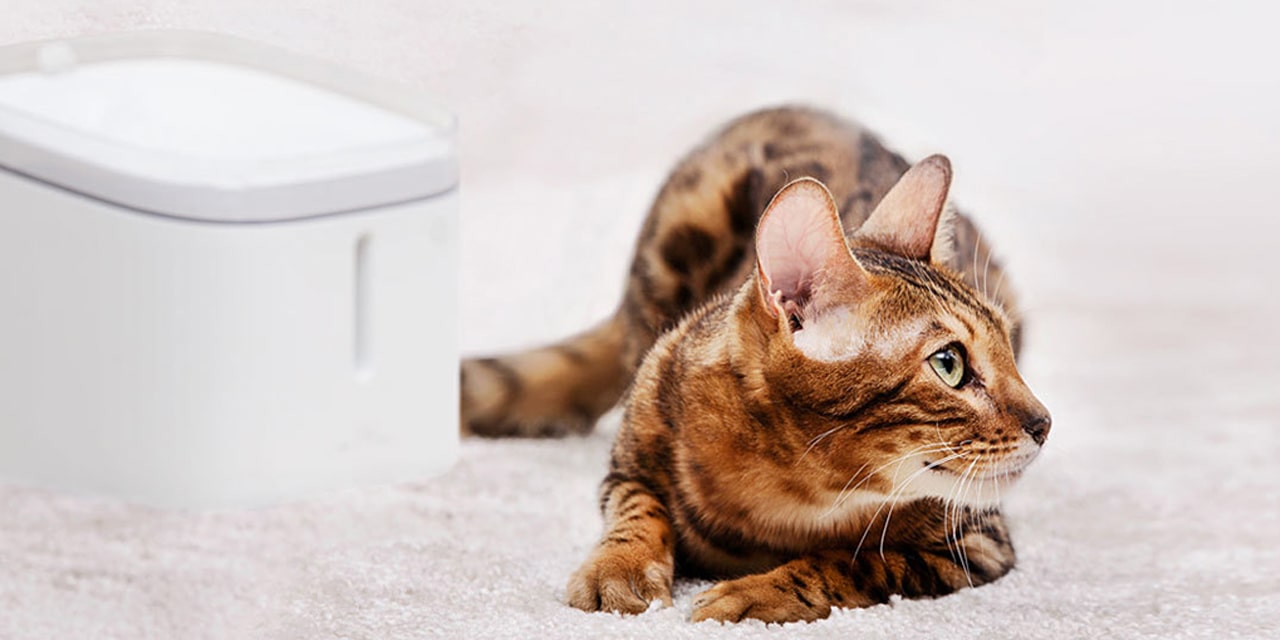 Автоматическая поилка Xiaomi Kitten 3-min