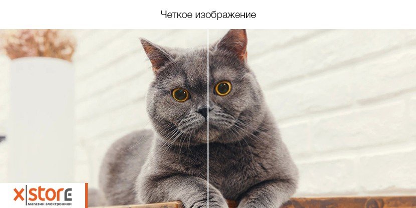 describe4.jpg