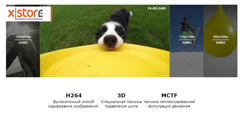 55.jpg