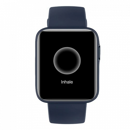 Умные часы Mi Watch Lite  Blue