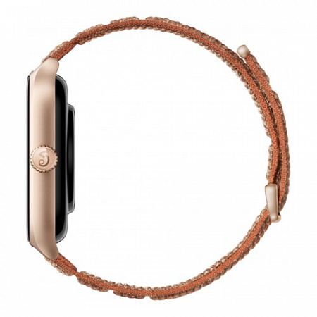 Умные часы Amazfit GTS 4 Autumn Brown
