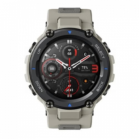 Умные часы Amazfit T-Rex Pro Desert Gray A2013